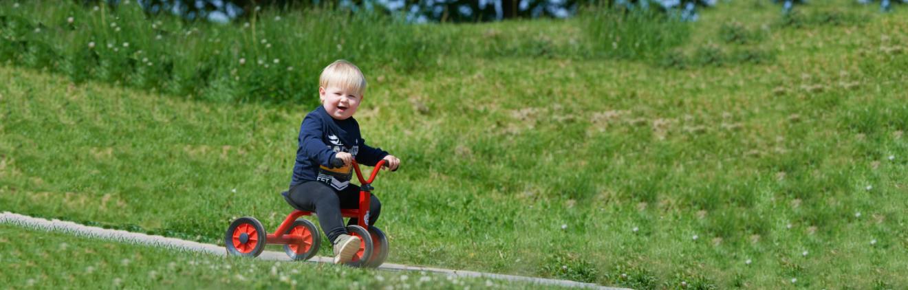 PushBike for one